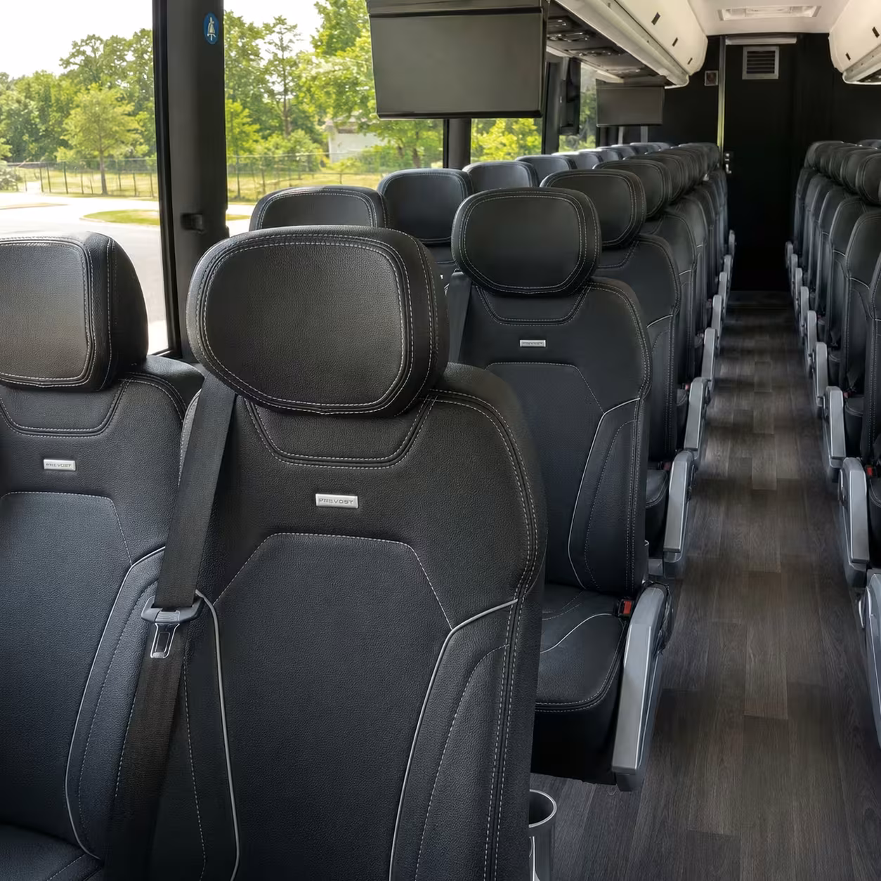 westminster charter bus rentals for tet festival celebrations